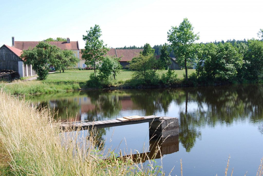 Genießen Sie die idyllische Landschaft.