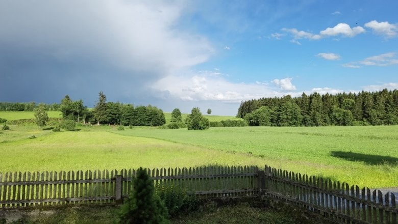 Garden view, © Thomas Starkl