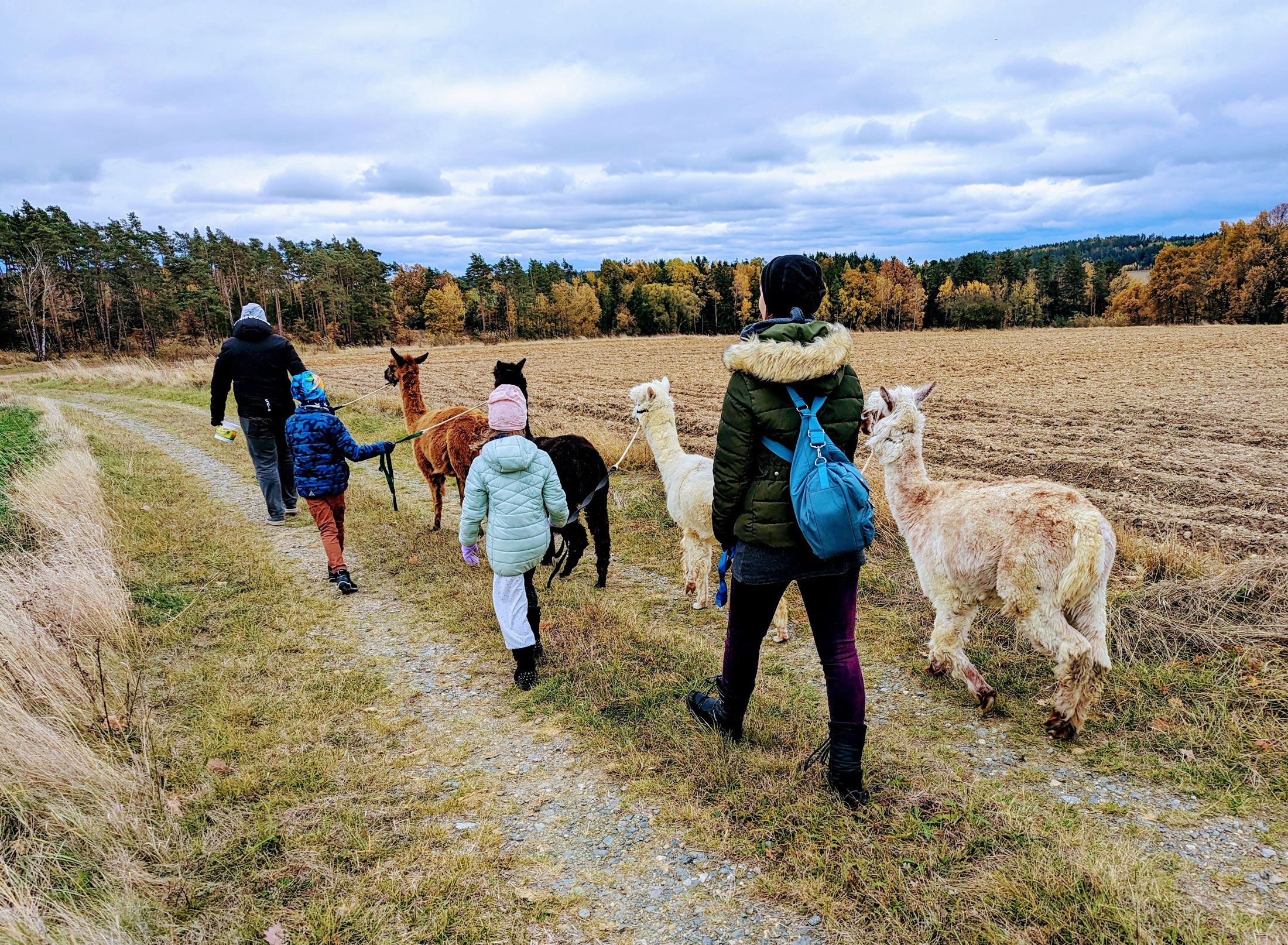Wanderung