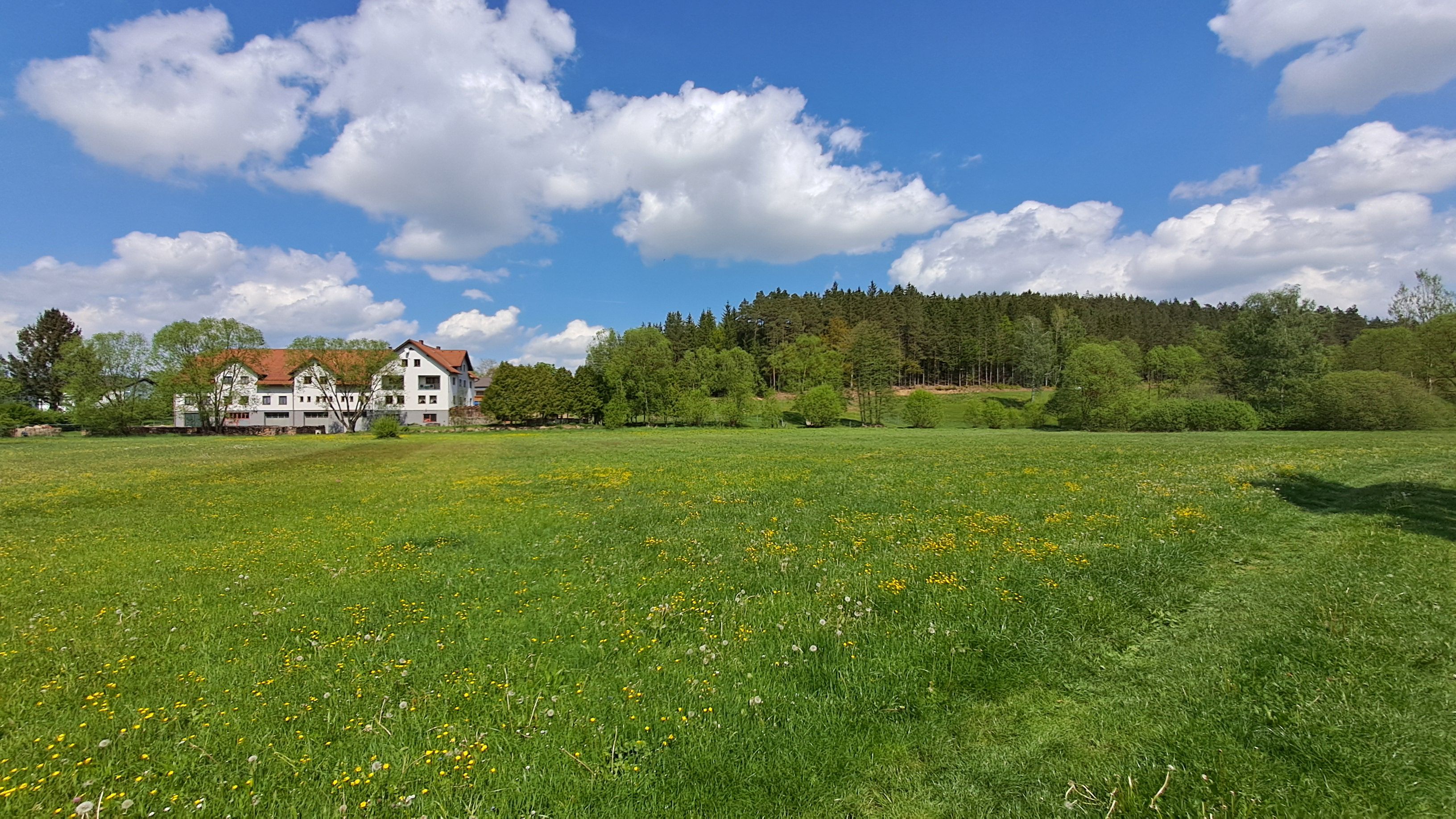 Weite grüne Wiese mit gelben Blumen, links ein weißes Gebäude mit rotem Dach, dahinter Wald und blauer Himmel mit großen Wolken.