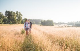 Wandern in Moorbad Harbach, © Studio Ideenladen