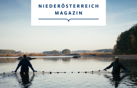 Ein Fisch von wahrer Größe, © Niederösterreich Magazin, Daniel Gollner