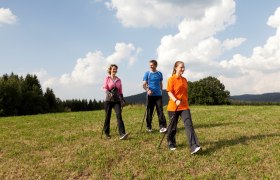 Nordic Walking in der Xundheitswelt, © Xundheitswelt