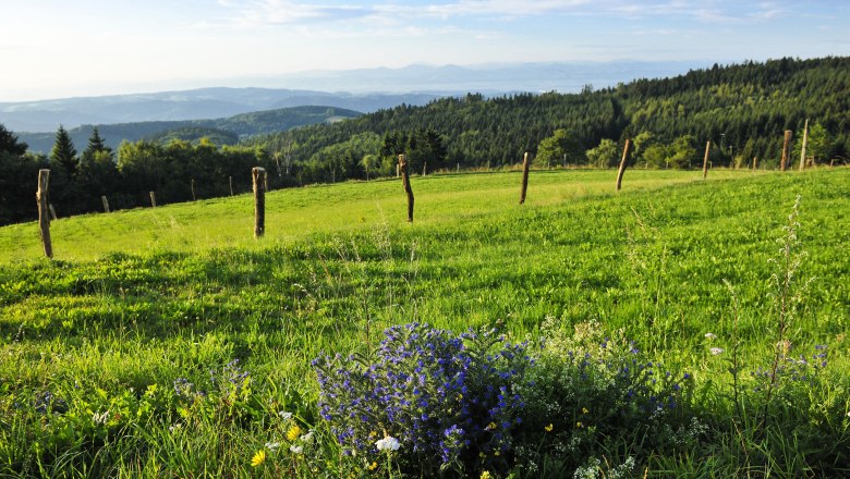 Hochplateau Naturpark Jauerling, © Robert Herbst