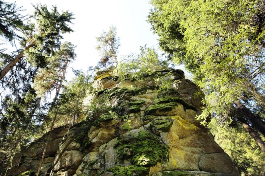 Steinformation im Wald, © Waldviertel Tourismus, weinfranz