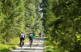 Mountainbiken, © © Waldviertel Tourismus, Erwin Haiden, nyx.at