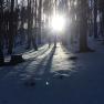 Der 1000Krauthof funkelt und glitzert, wenn die Sonne im Winter zwischen den Bäumer durch blinzelt, © 1000 Krauthof