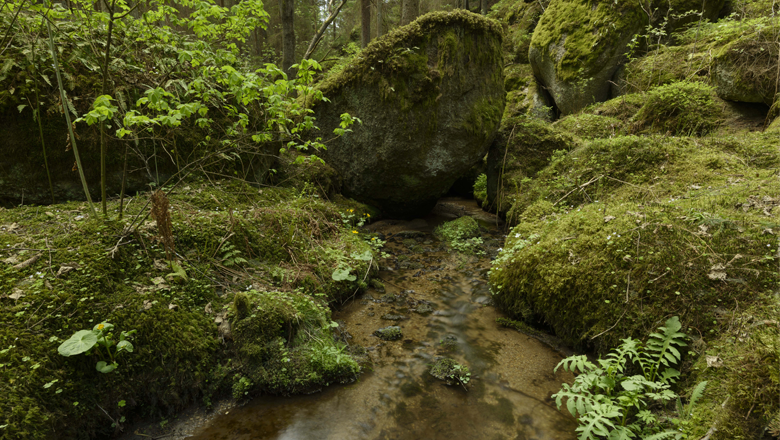 Teufelsmühle bei Bruderndorf, © Matthias Schickhofer