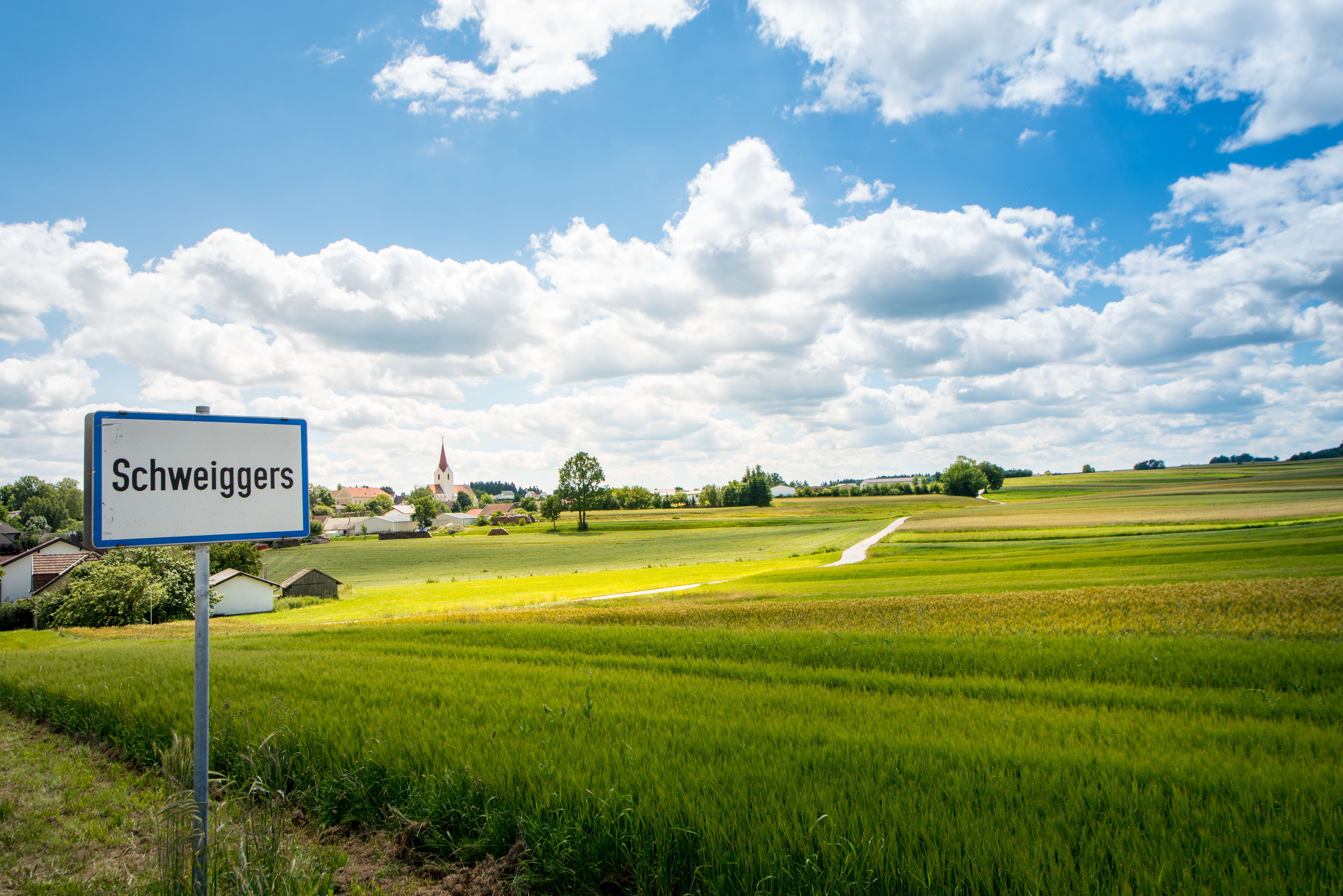 Hauptplatz mit bunten Häusern und in der Mitte eine grüne Wiese