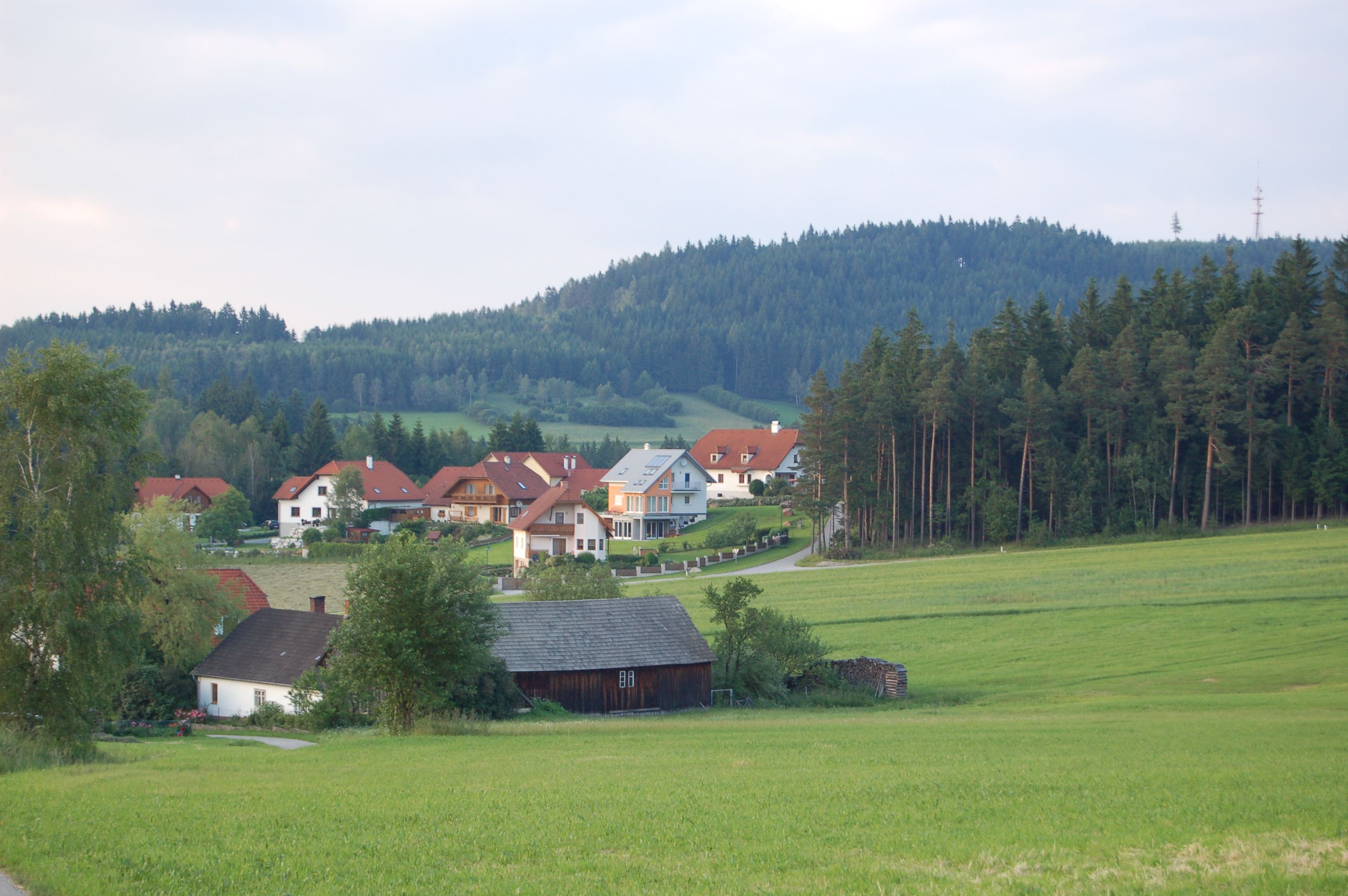 Ländliche Szene mit Häusern, Wiesen und Wald in Waldhausen.