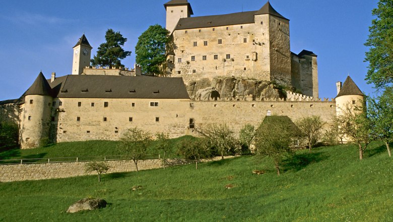 Burg Rappottenstein auf einem H&uuml;gel mit gr&uuml;ner Wiese im Vordergrund.