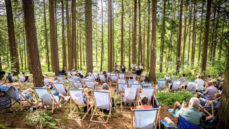 Schrammel.Klang.Festival Litschau, © Niederösterreich Werbung, Robert Herbst