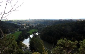 Panoramablick von der Julienhöhe auf eine Flusslandschaft mit Wald und Stadt im Hintergrund.