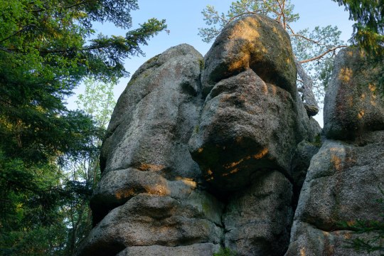 Totenkopfstein, © Waldviertel Tourismus, Matthias Schickhofer