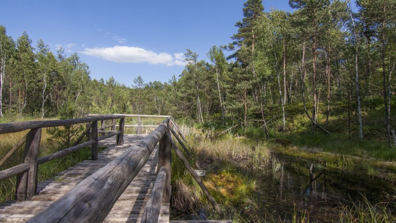 Přírodní park Hochmoor Schrems, © UnterWasserReich, Sonja Eder