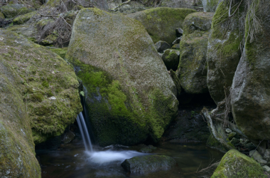 Weißenbachklamm, © Matthias Schickhofer