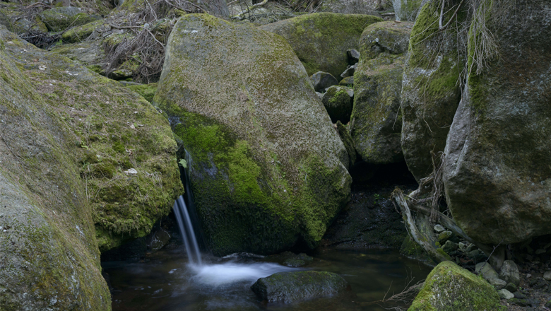 Weißenbachklamm, © Matthias Schickhofer