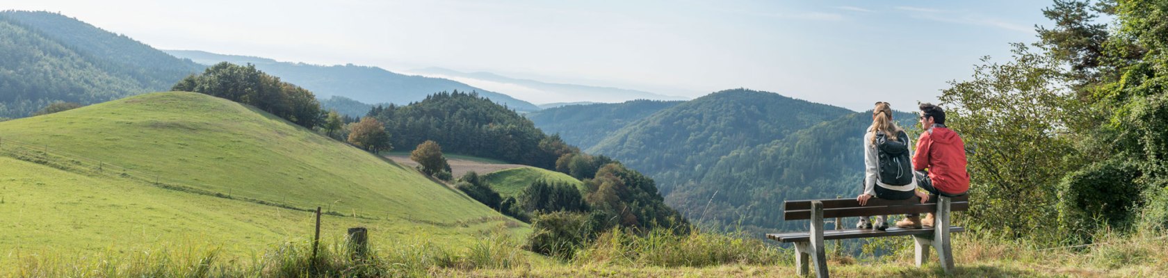 Aussicht ins Ysper-Weitental, © Waldviertel Tourismus, Studio Kerschbaum