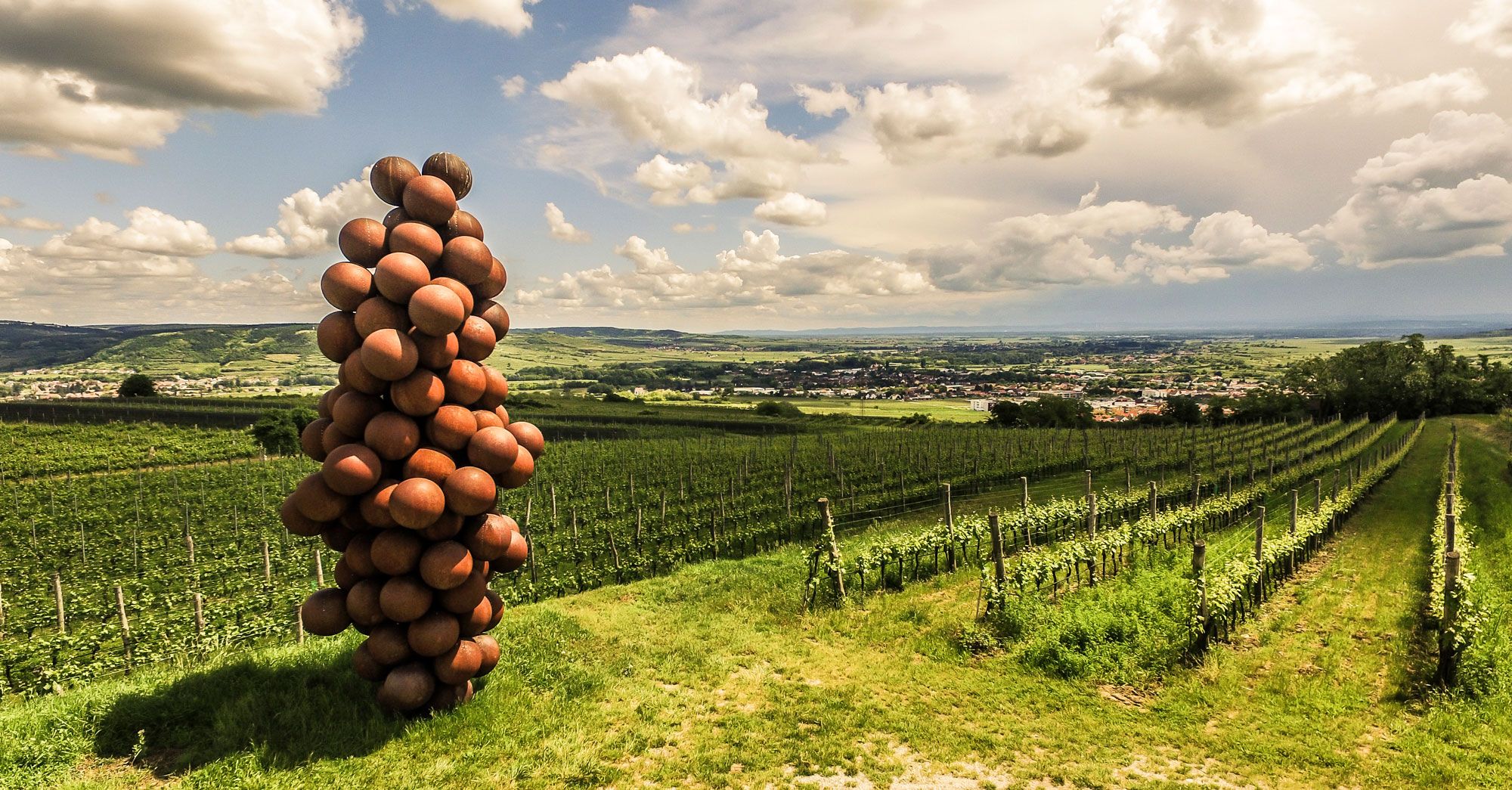 Skulptur aus Kugeln in Form einer Weintraube auf einem Weinberg mit Blick auf eine Landschaft.