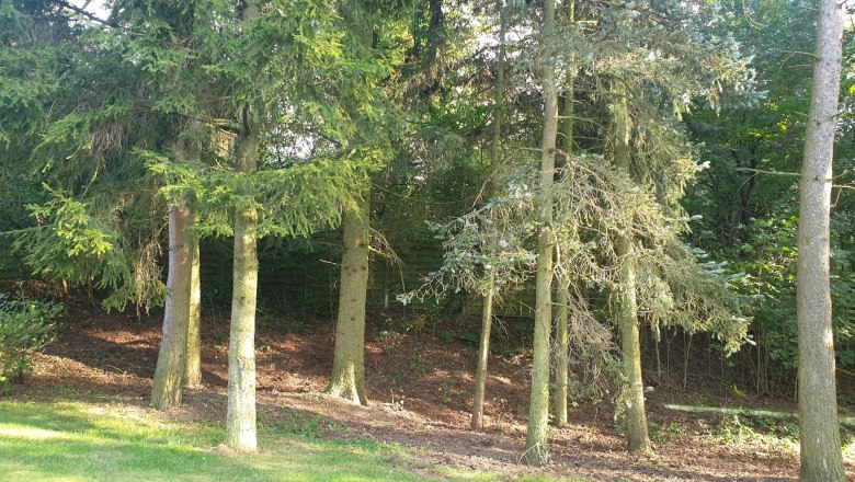 Garten, © Fam. Schmid