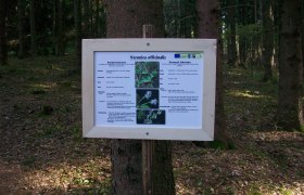 Wildkräuterlehrpfad mit Schritteweg, © Marktgemeinde Bad Großpertholz