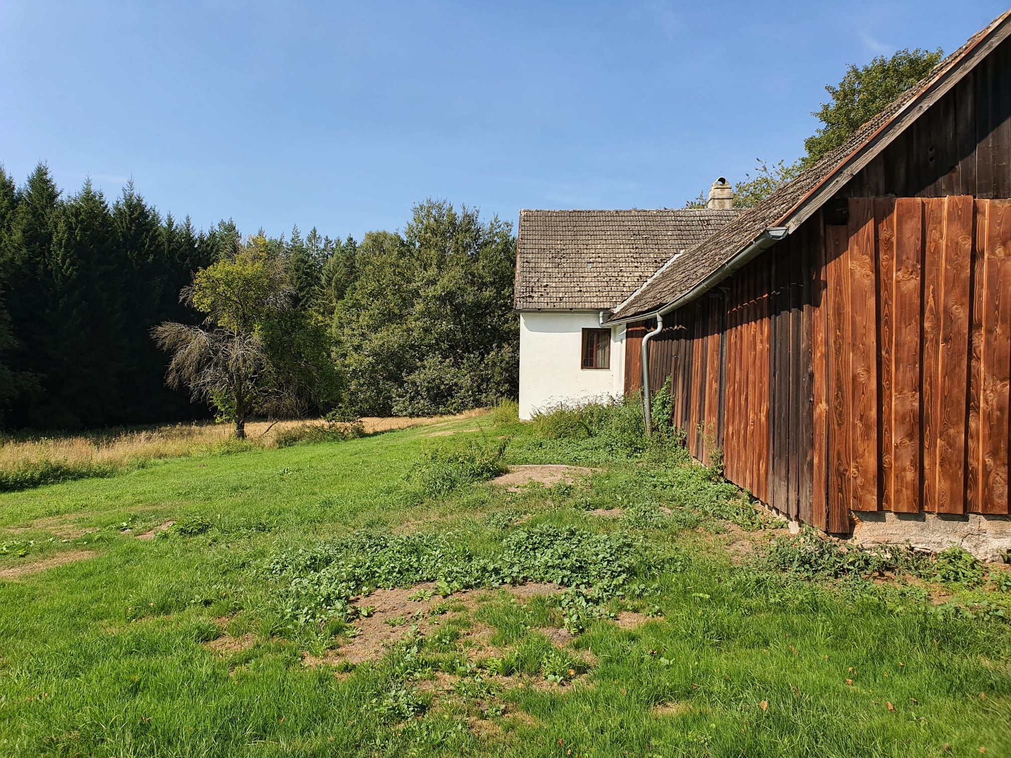 Ein ländliches Haus mit Holzwänden und einem weißen Anbau steht auf einer grünen Wiese, umgeben von Bäumen und einem Wald im Hintergrund.