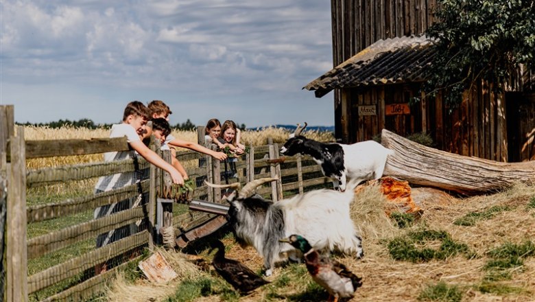 Biobauernhof Hipp-Bruckner, © Waldviertel Tourismus, Matthias Streibel
