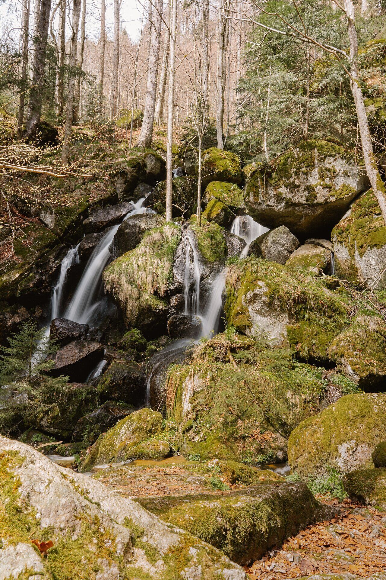 Ysperklamm, Wandern, Natur