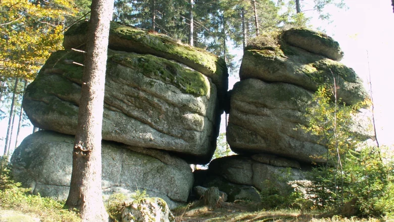 Zwei gro&szlig;e, moosbedeckte Felsen im Wald.