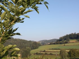 Landschaft bei Gföhl, © Stadtgemeinde Gföhl