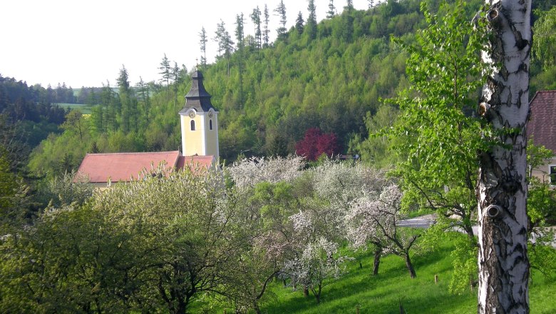 Landschaft mit Kirche, blühenden Bäumen und grünem Hügel.