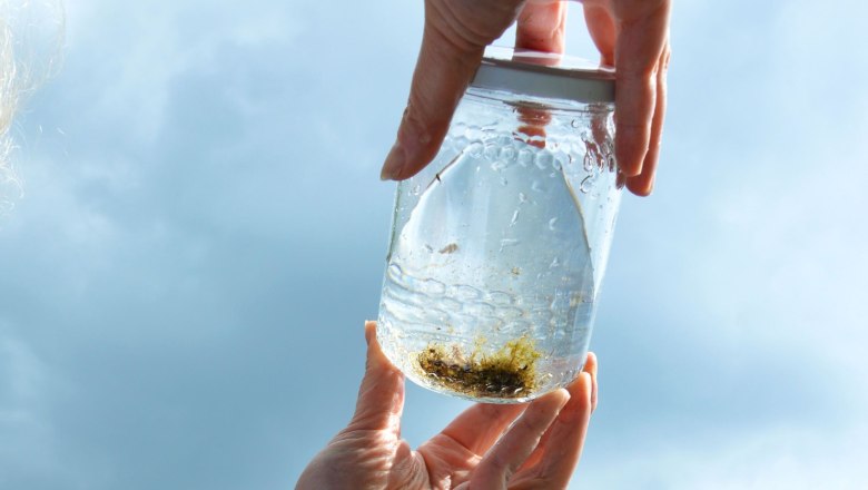 Teichranger-Führung, © Michaela Altmann