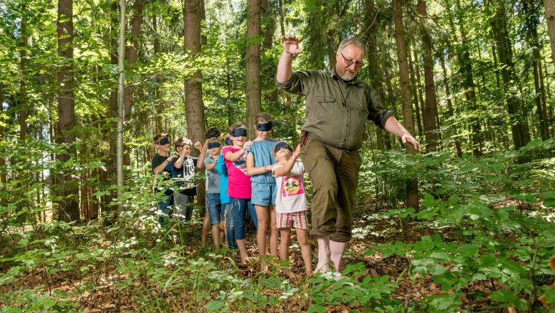 Waldschule Waldviertel, © Waldviertel Tourismus, Studio Kerschbaum