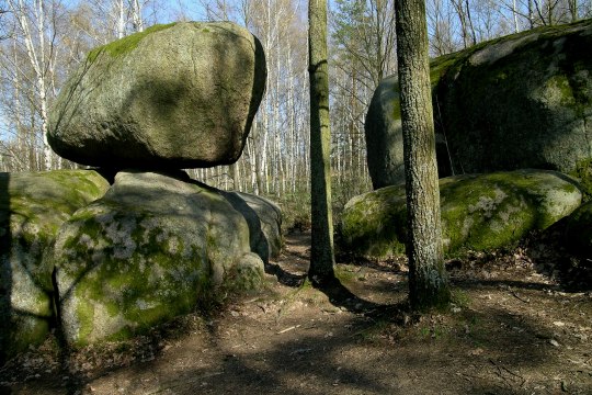 Naturpark Blockheide, © Niederösterreich Werbung/K. M. Westermann