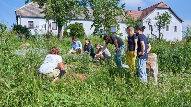 Bio-Bauernhof Frei-Hof, © SONNENTOR/@nudlholz.at