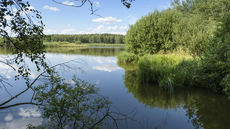 Bruneiteich bei Altmanns, © Matthias Schickhofer