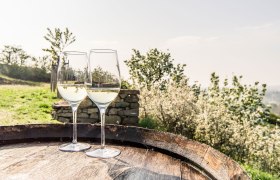 Weinfrühling, © Waldviertel Tourismus, Robert Herbst