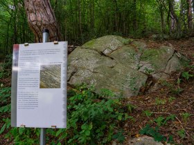 Station 3 - Methusalemstein, © Gottfried Grossinger