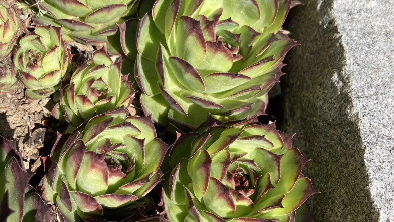 img_0040, © Frühstückspension Gerstbauer