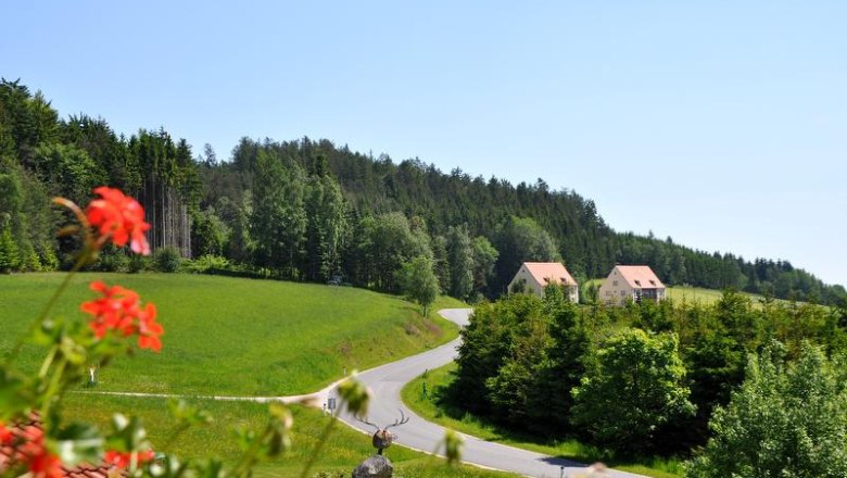 Landscape with green fields, a winding road and two houses in the background.
