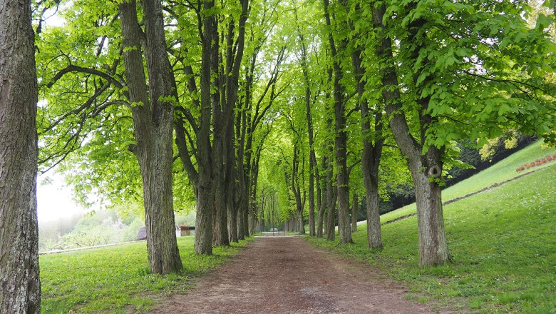 Natur-Erlebnis-Wanderung, © Elfi Lumesberger