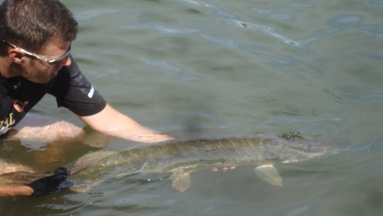 Catch&amp;Relase Langau 2, © Hannes Messmann