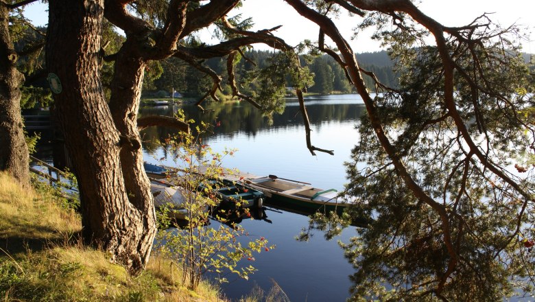 Edlesbergerteich 300 m vom Haus entfernt, &copy; Dieter Juster