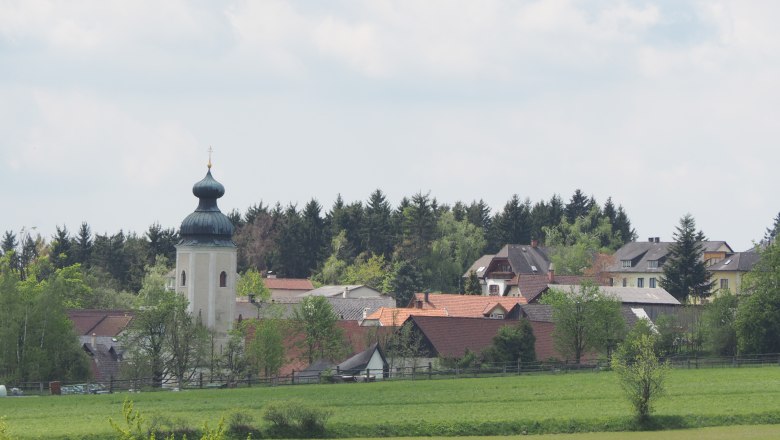 Pfarrkirche Sallingberg mit Zwiebelturm in ländlicher Umgebung.
