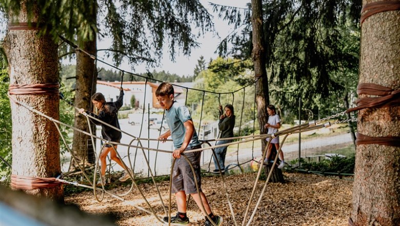 Kinder spielen auf einem Kletterparcours im Wald.