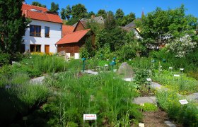 Kräutergarten mit Schildern und Gebäuden im Hintergrund.