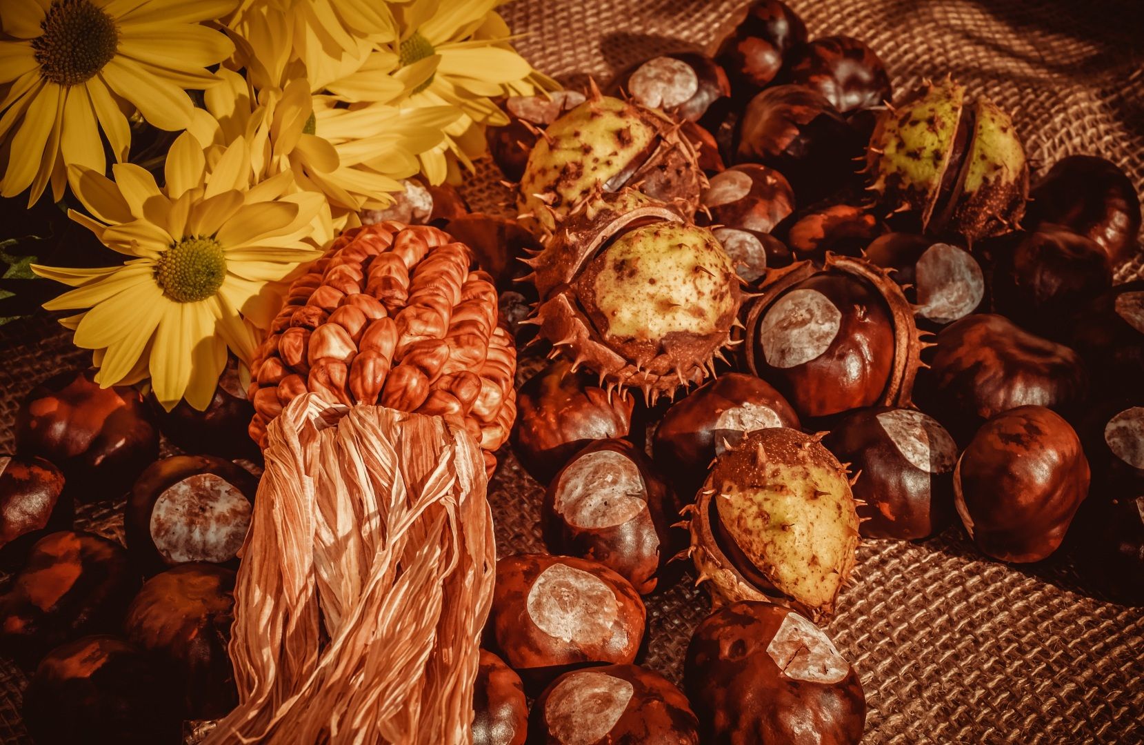Herbstdeko
