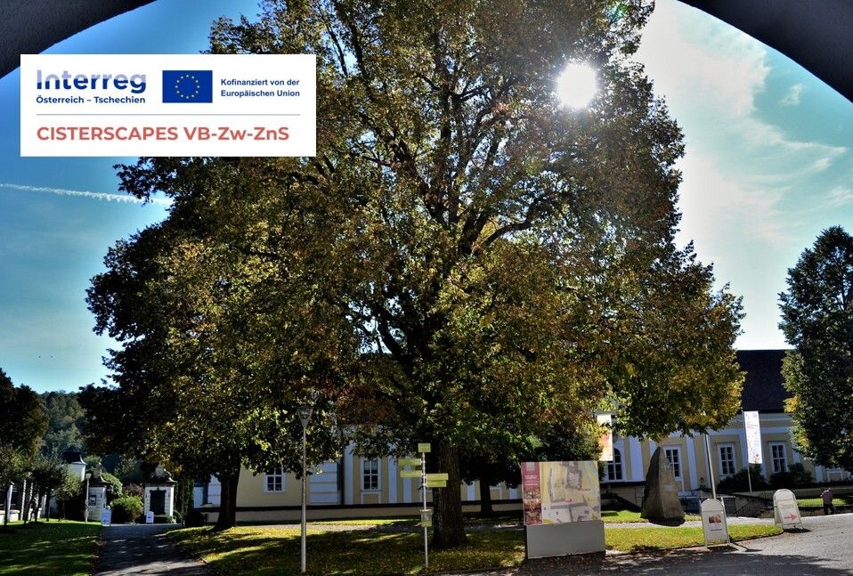 Ein Blick in den Lindenhof des Stiftes Zwettl