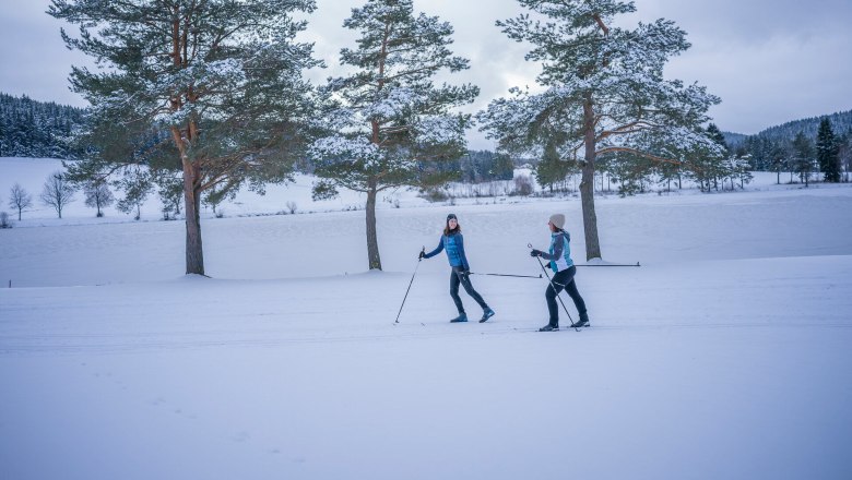 Zwei Personen beim Skilanglauf auf einer verschneiten Landschaft mit B&auml;umen im Hintergrund.