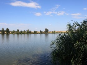 Meiseldorfer Teich, © Ch. Dafert